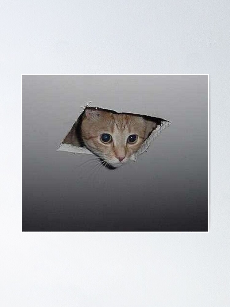 Ceiling Cat Meme Poster By Balzac Redbubble