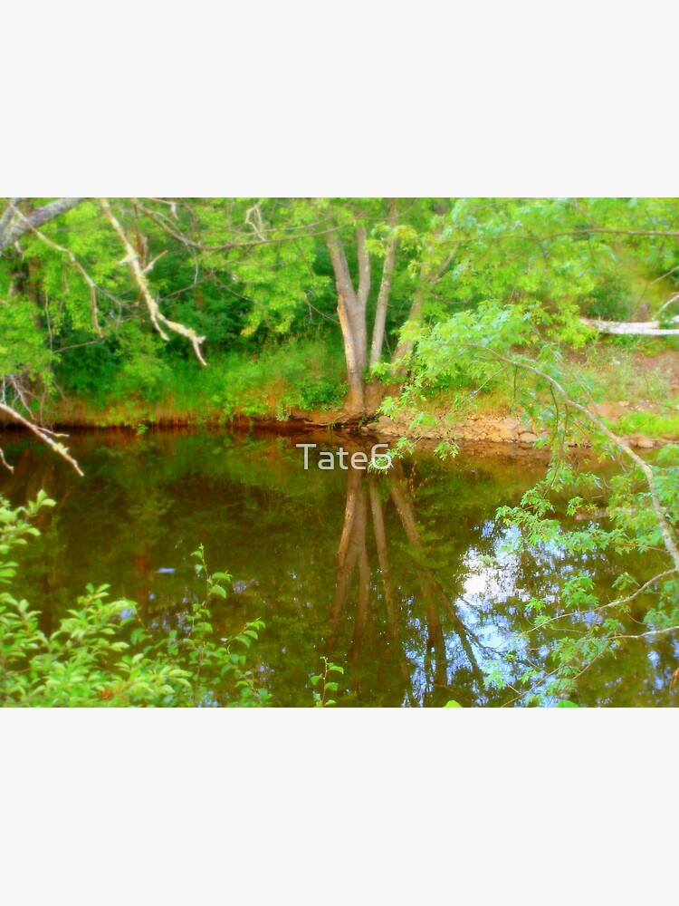 Soft Reflections by Tate6
