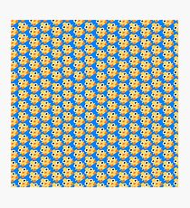 Blue Ducky Momo Photographic Print