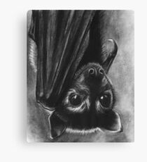Baby Bat Canvas Print