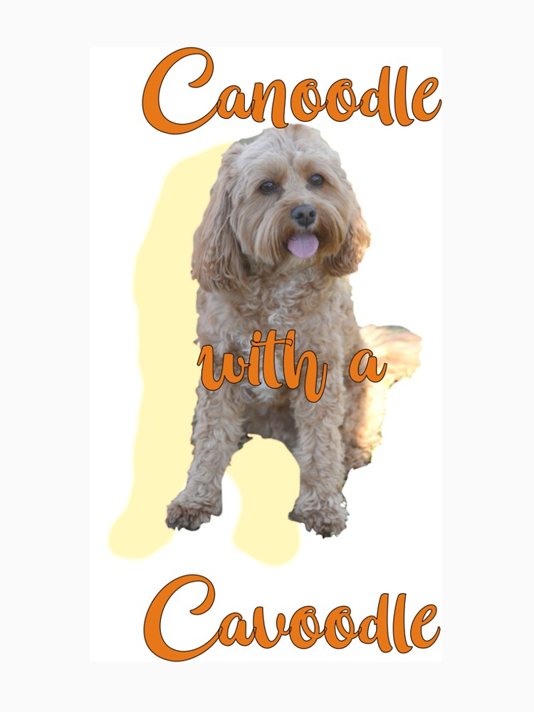 cavoodle t shirt