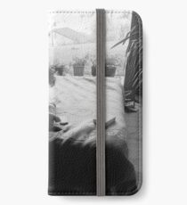 Willow on bed iPhone Wallet/Case/Skin