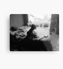 Willow on bed Metal Print