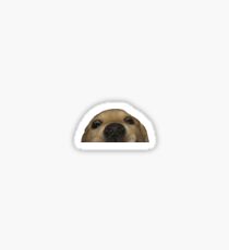 Doggo Sticker