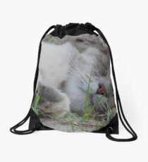 Dusty Drawstring Bag