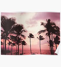 Pink Palm Paradise Poster