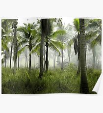 Palm Trees at Sunrise - Foggy Forest Poster