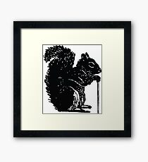 The Aged Squirrel Framed Print
