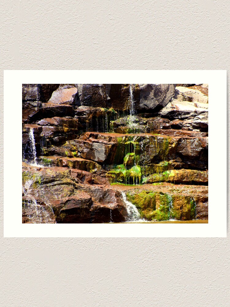 Alternate view of Silence of Contemplation Art Print