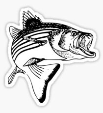 Striped Bass Sticker
