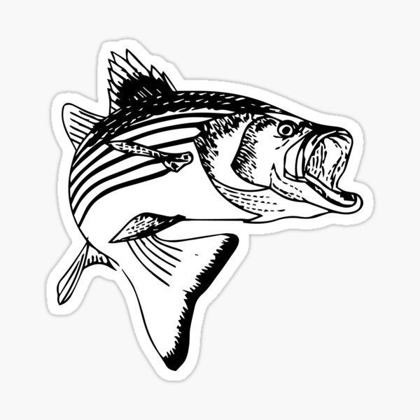 DIVE NAKED sticker decal scuba diving flag spearfishing sea beach lure bass reel