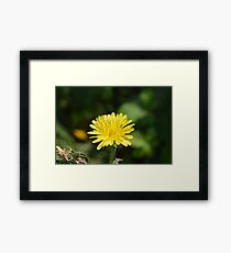 Yellow Petals Framed Print