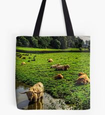 Keeping Cool Tote Bag