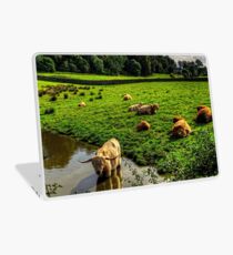 Keeping Cool Laptop Skin