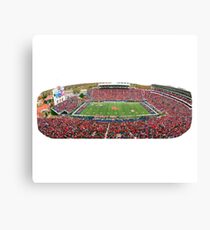 vaught hemingway Canvas Print