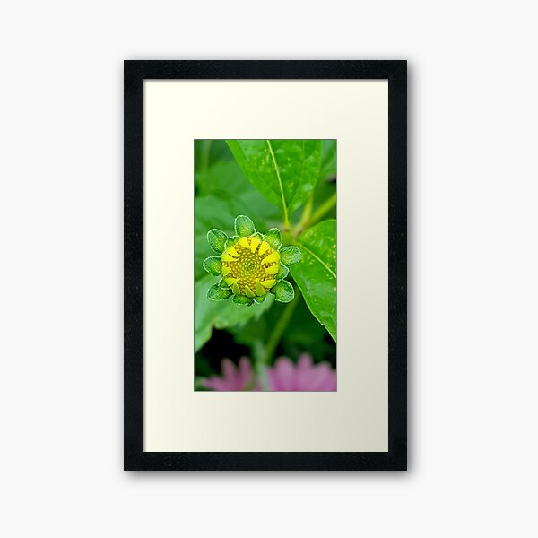 Yellow Flower Framed Art Print