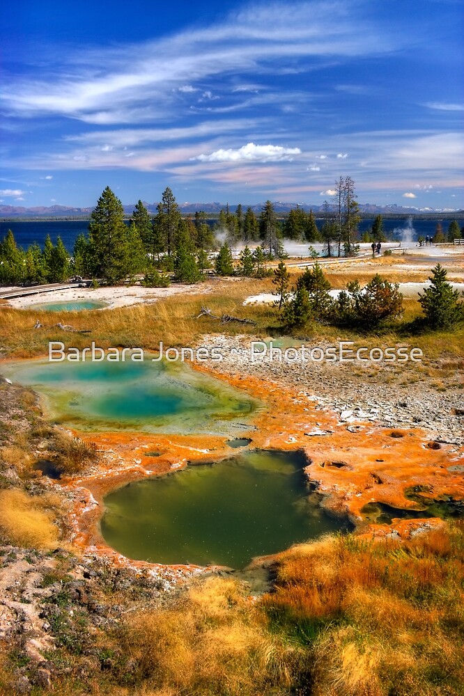 "West Thumb Geyser Basin, Yellowstone National Park. USA." by Barbara