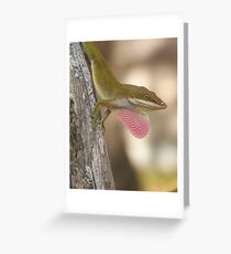 ANOLE ~ Showing Off Greeting Card