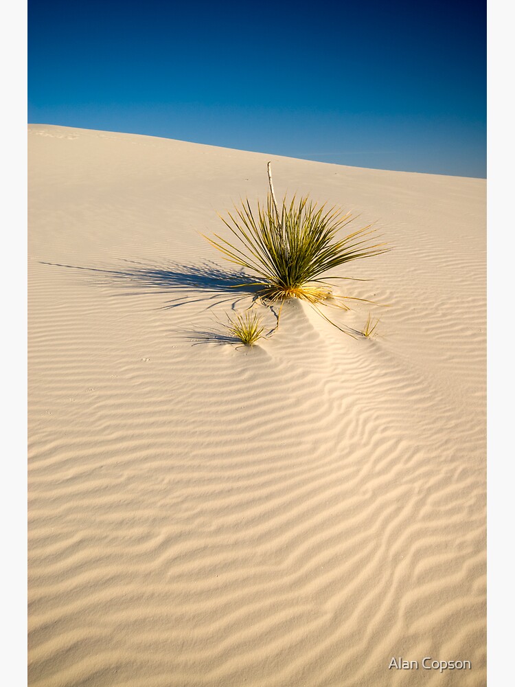 White Sands National Monument. by AlanCopson