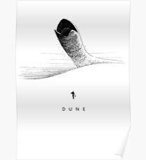 Póster DUNA