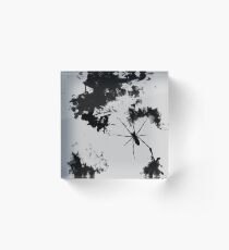 Grunge Spider Acrylic Block