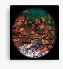 Vega Canvas Print