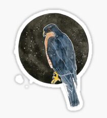 Sparrowhawk Sticker