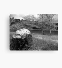 Trees Canvas Print
