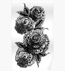 Vier Rosen Poster