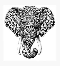 Ornate Elephant Head Photographic Print