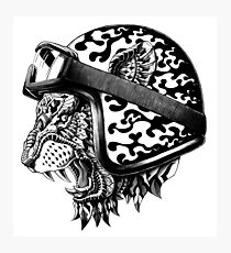 Tiger Helm Photographic Print