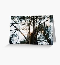 027 Greeting Card