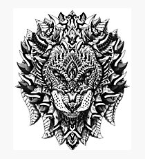 Ornate Lion Photographic Print