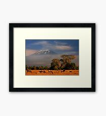 Kilimanjaro in early morning light, Amboseli National Park, Kenya, Africa. Framed Print