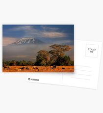 Kilimanjaro in early morning light, Amboseli National Park, Kenya, Africa. Postcards