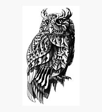 Owl 2.0 Photographic Print