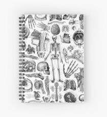 Menschlicher Anatomie-Weiß-Druck Spiralblock