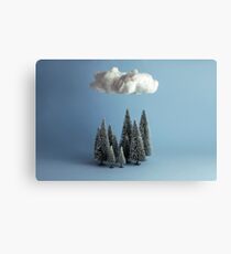 A cloud over the forest Canvas Print