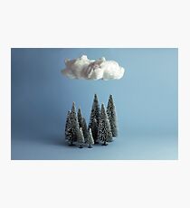 A cloud over the forest Photographic Print