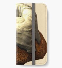 Sweet Roll This! iPhone Wallet/Case/Skin
