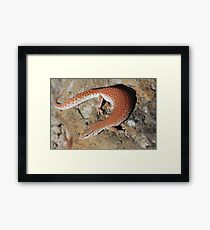 Smallest monitor in the World Framed Print