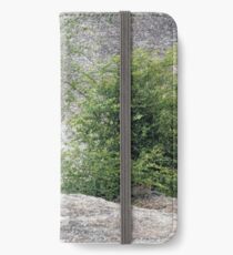 Lurking Leopards iPhone Wallet/Case/Skin