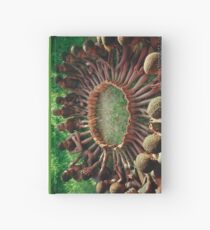 Iconic Circle Game Journal Hardcover Journal