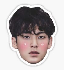 Mingyu Seventeen Sticker
