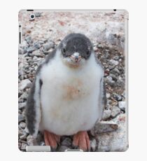 Gentoo Penguin Chick ~ "My life's goal....to grow into my feet!" iPad Case/Skin
