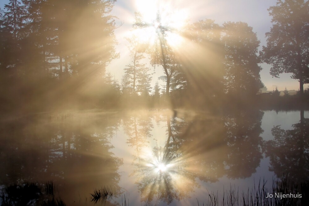 "Sun Rays Reflected" by Jo Nijenhuis Redbubble