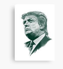 Donald Trump Metal Print