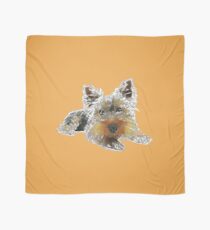 Pañuelo Hundeliebe> Niedlicher Yorkshire Terrier> Hunde