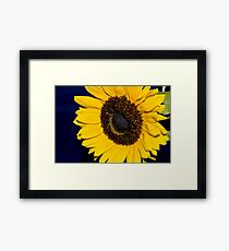 Yellow petals Framed Print