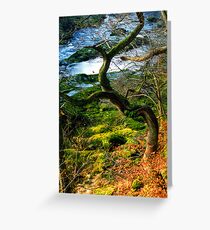 Wharfedale Greeting Card